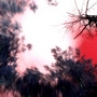Leny ambient